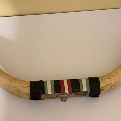 Mounted Steer Bull Cow Horns 