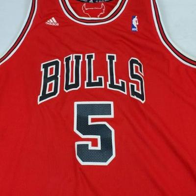 XXL adidas Chicago Bulls Jersey, Boozer #5