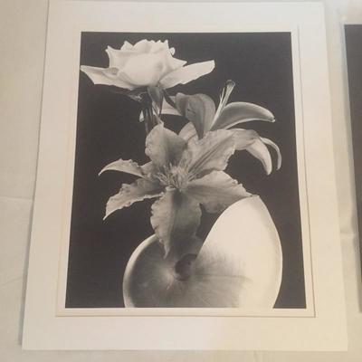 Lot 11 - 2 Matted Photographs 