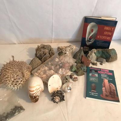 Lot 66 - Rare Finds from the Land and Sea