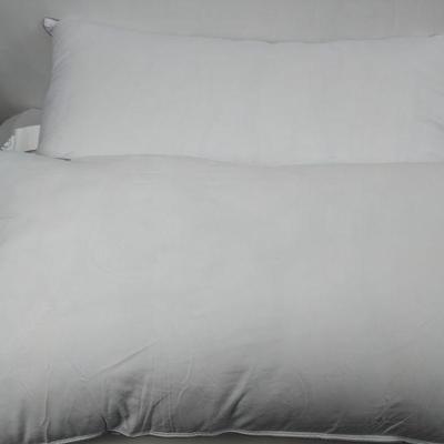 Two King Pillows - New