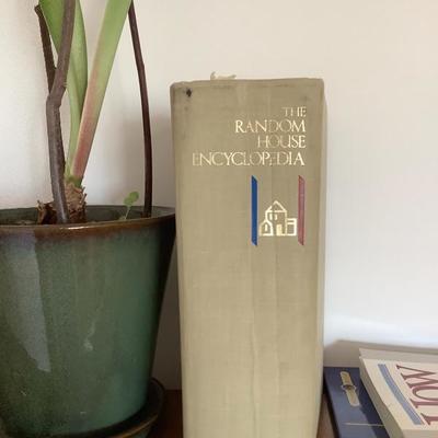 113: Bookshelf with books and plants