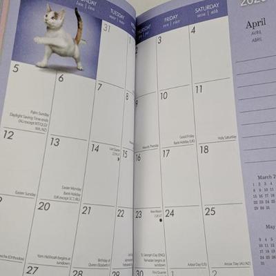Cat Wars Calendar 2019 & Yoga Kittens Monthly Planner 2019-2020 - New