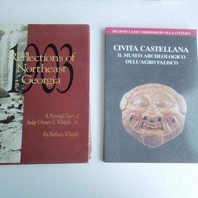 Lot 35: Travel Reference Books Boxed Lot #2