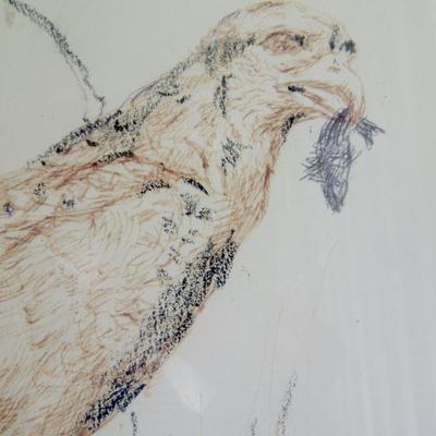 Lot 91: Two Framed Charcoal Sketches of Falcons
