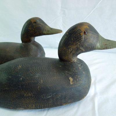 Lot 159: Pair of Factory Green Billed Black Duck Decoys 19th - 20th Century