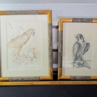 Lot 91: Two Framed Charcoal Sketches of Falcons
