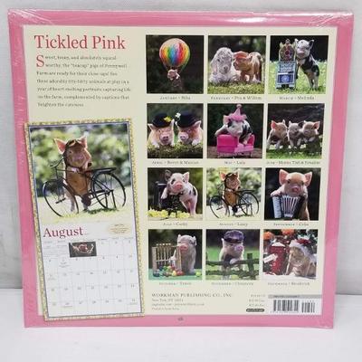 2019 Calendars Set of 2: Pocket Pigs, In The Pink!, and 2yr Planner - New