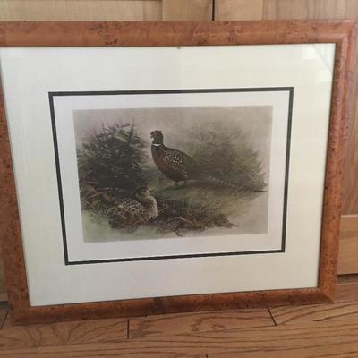 Lot 16 - Framed Pheasant Engraving
