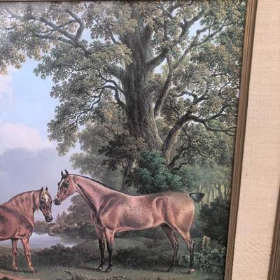 325:  Vintage Horse Print 