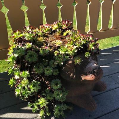 153:  Dog Planter with Succulents 