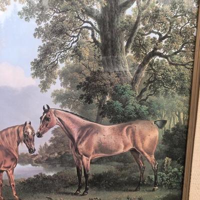 325:  Vintage Horse Print 