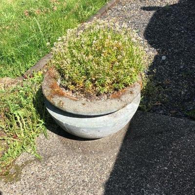 162:  Heavy Cement Planter 