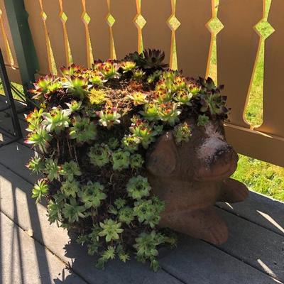 153:  Dog Planter with Succulents 