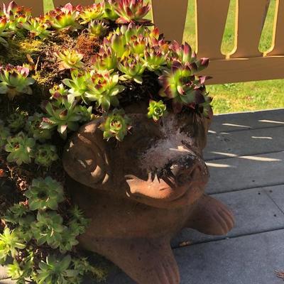 153:  Dog Planter with Succulents 