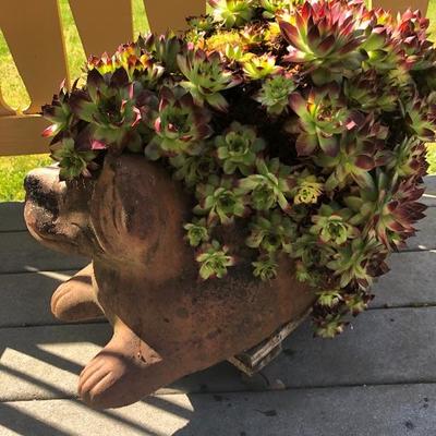 153:  Dog Planter with Succulents 