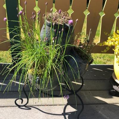 154:  Festive Planters and Owl 