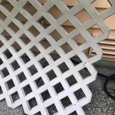161:  Four 4x8 Resin Lattice and 20 foot Werner  Aluminum Ladder