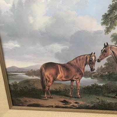 325:  Vintage Horse Print 