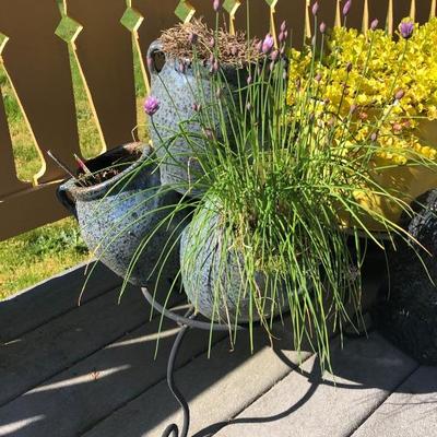 154:  Festive Planters and Owl 