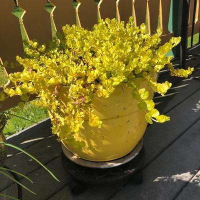 154:  Festive Planters and Owl 