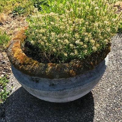 163:  Outdoor Cement Planter