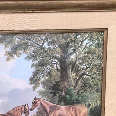 325:  Vintage Horse Print 