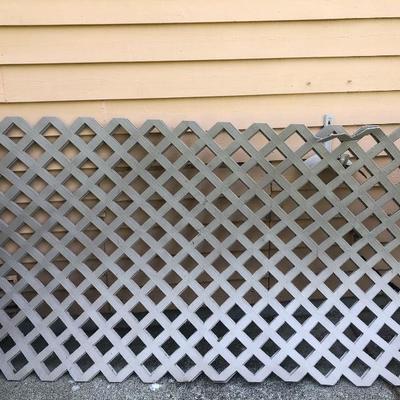 161:  Four 4x8 Resin Lattice and 20 foot Werner  Aluminum Ladder
