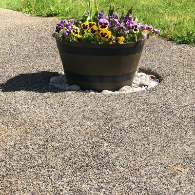 152:  Three Outdoor Resin Barrel Planters With Live Plants