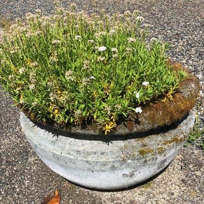 163:  Outdoor Cement Planter
