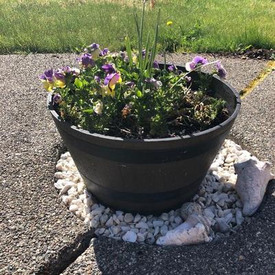 152:  Three Outdoor Resin Barrel Planters With Live Plants