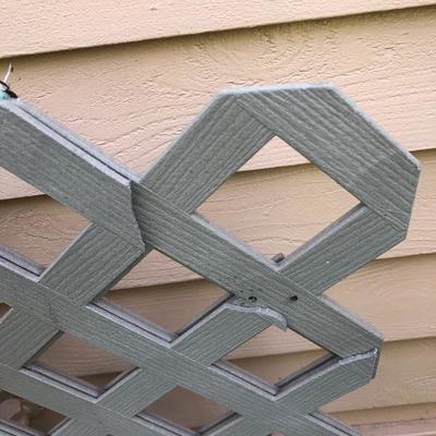 161:  Four 4x8 Resin Lattice and 20 foot Werner  Aluminum Ladder