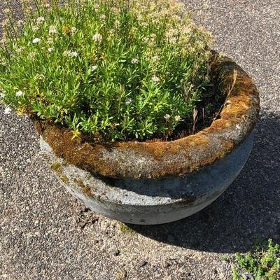 163:  Outdoor Cement Planter