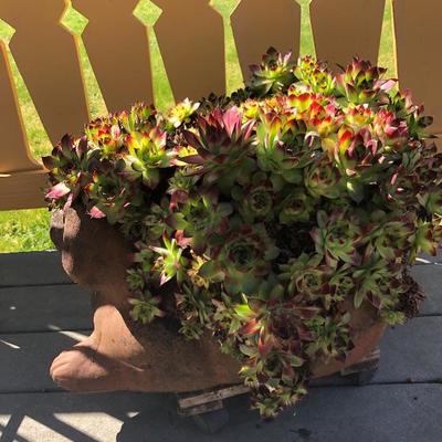 153:  Dog Planter with Succulents 