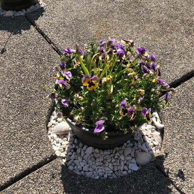 152:  Three Outdoor Resin Barrel Planters With Live Plants