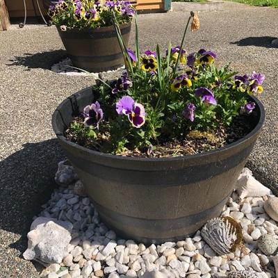 152:  Three Outdoor Resin Barrel Planters With Live Plants