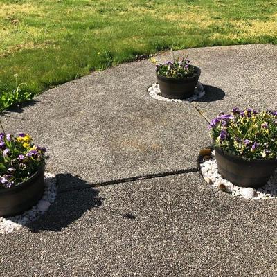 152:  Three Outdoor Resin Barrel Planters With Live Plants