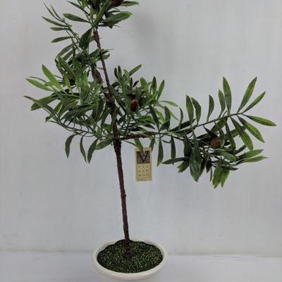 Vickerman Olive Tree - New
