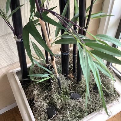 110 Tall Artificial Bamboo Plant in Planter