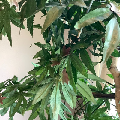 120 Pair of Large Artificial Plants in Pots