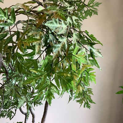 120 Pair of Large Artificial Plants in Pots