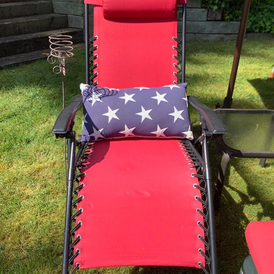 147 Red White and Blue Lounging in The Shade
