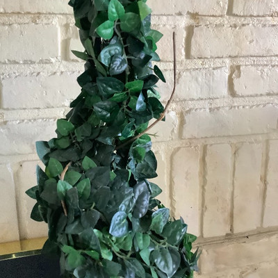 153 Topiary and Framed Art