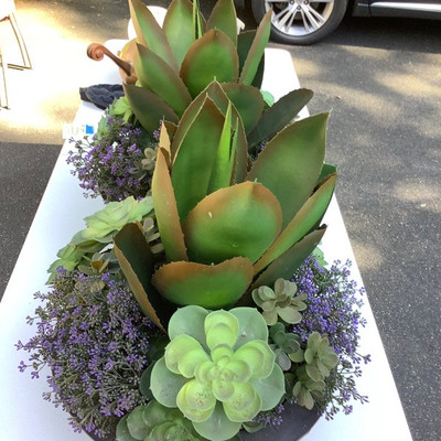 184 Pair of Artificial Succulent Plants 
