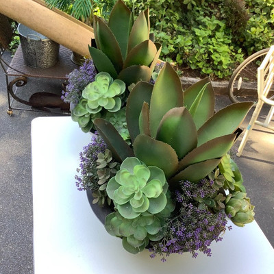 184 Pair of Artificial Succulent Plants 