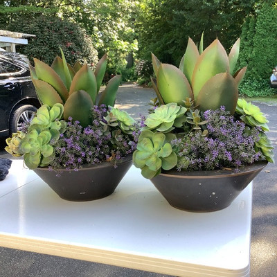 184 Pair of Artificial Succulent Plants 