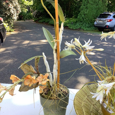 186 Artificial Floral Pots and Ceramic Birds