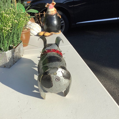 193 Three Artificial Plants and a Metal Dog Named Spike