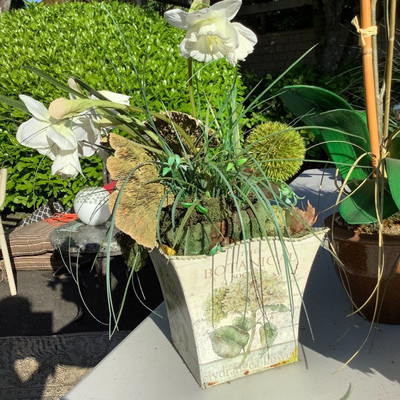 193 Three Artificial Plants and a Metal Dog Named Spike