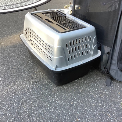 197 Dog Lot